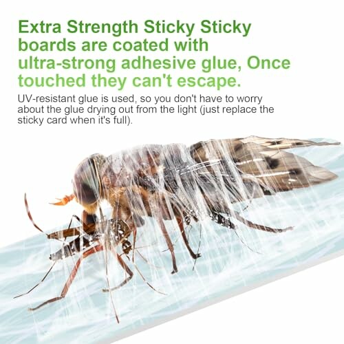 Fly stuck on a sticky board with text about extra strength adhesive.